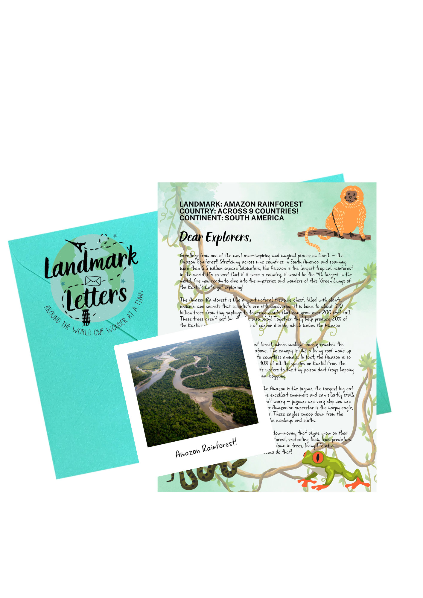 Amazon Rainforest- Landmark Letters (Hurry...LAST ONE remaining!)