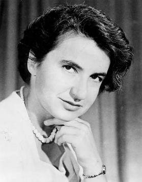 Rosalind Franklin Letter - Scientist