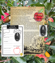 Load image into Gallery viewer, Johnny Appleseed Letter - Legendary American Orchadist