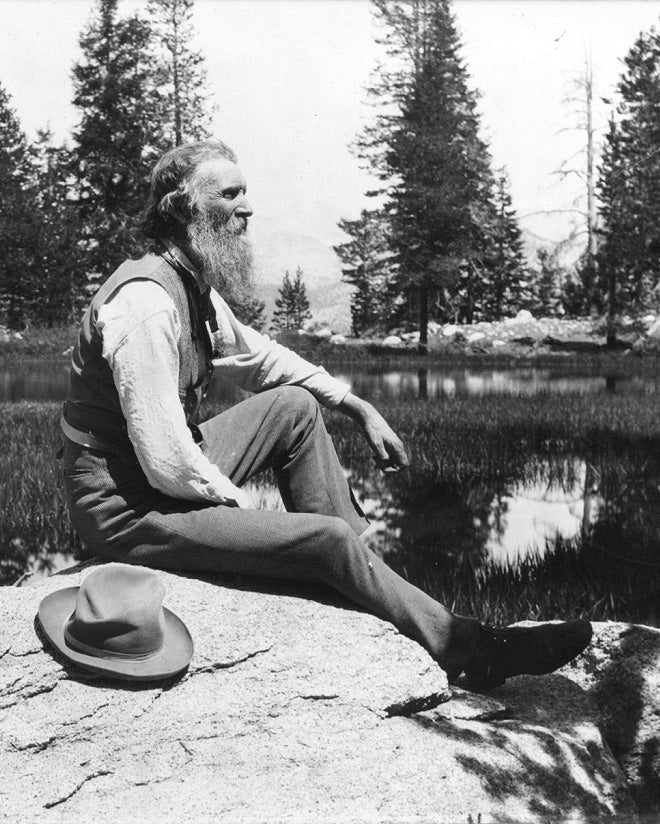 John Muir Letter - Naturalist