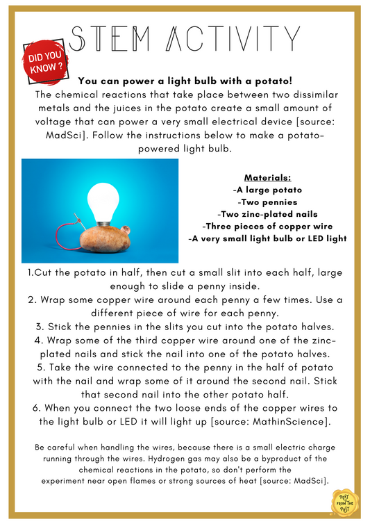 Thomas Edison Stem Activity