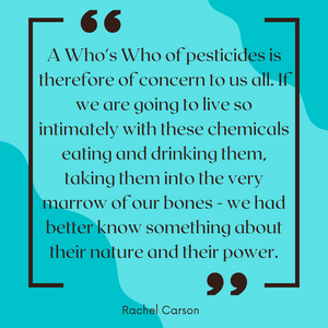 Rachel Carson Letter - Marine Biologist