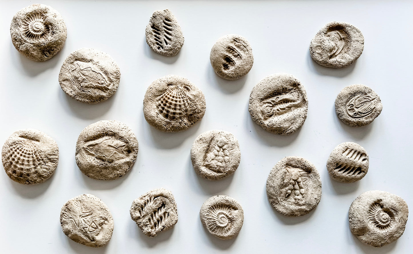 Mary Anning Homemade Fossils