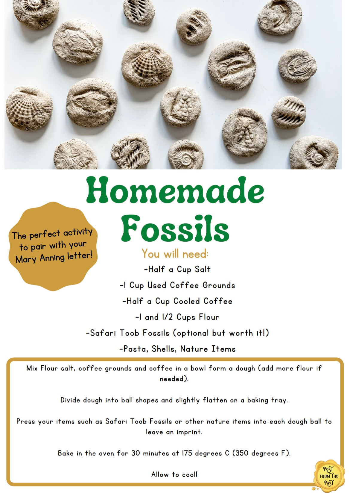 Mary Anning Homemade Fossils